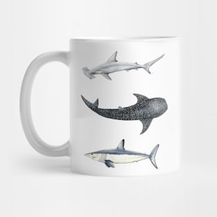 Shark trio: hammerhead shark, mako shark and whale shark Mug